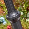 Falfosa outdoor light, lamp post, path light black, 1-light source