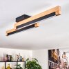 Lemene ceiling light LED Ecru, black, 2-light sources