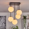 Gastor ceiling light, globe light white, 5-light sources