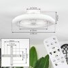 Benasal ceiling light, Ceiling fan light white, 1-light source, Remote control