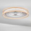 Benasal ceiling light, Ceiling fan light Ecru, white, 1-light source, Remote control