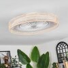 Benasal ceiling light, Ceiling fan light Ecru, white, 1-light source, Remote control