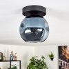 Ripoll ceiling light, ceiling spotlight blue, 1-light source