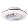 Globo lighting GIBLI Ceiling fan light LED white, 1-light source, Remote control