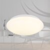 Globo lighting Onega ceiling light LED white, 1-light source