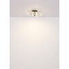 Globo lighting Karen Ceiling fan light LED Ecru, black, 1-light source, Remote control