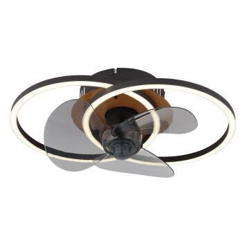 Globo lighting Karen Ceiling fan light LED Ecru, black, 1-light source, Remote control