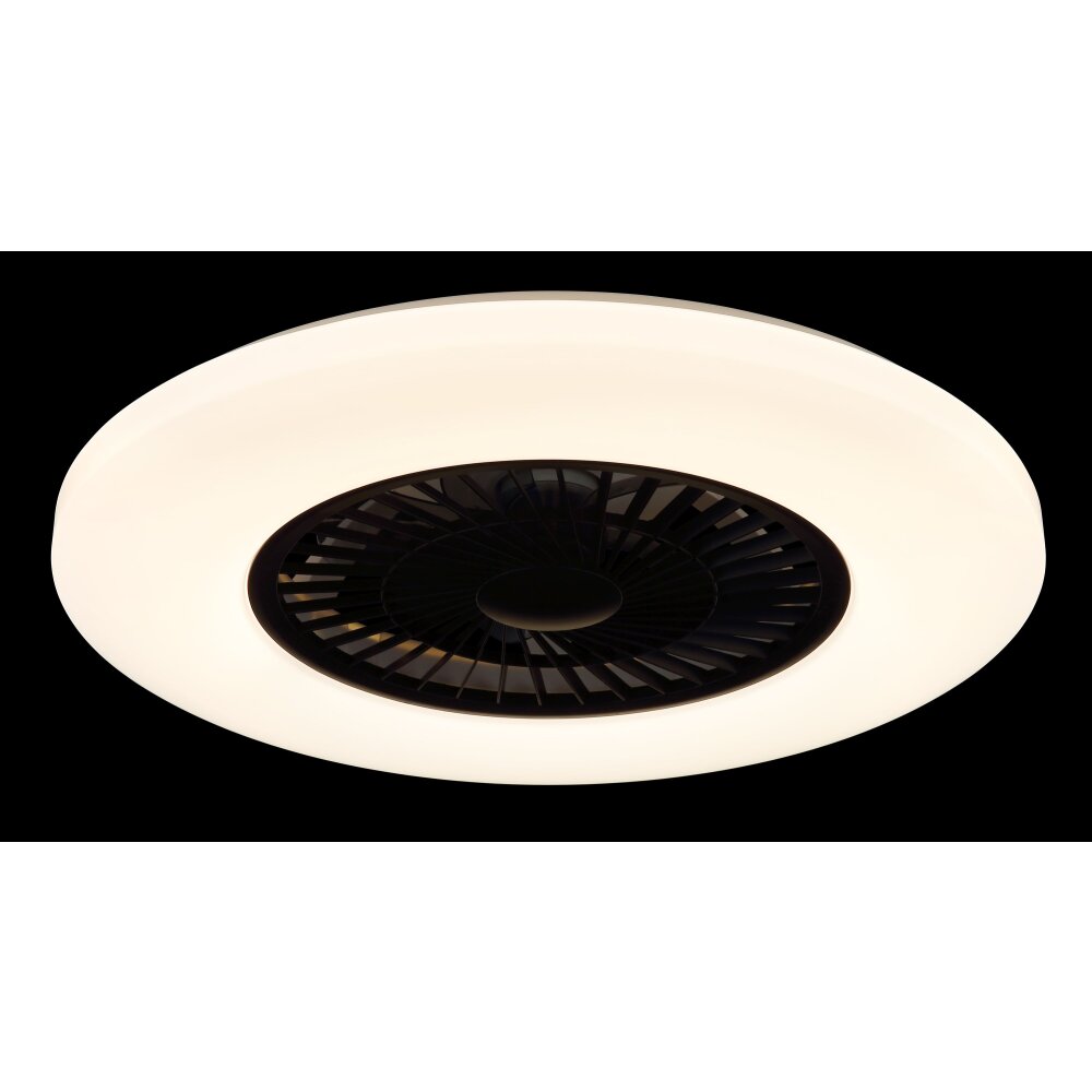 Globo lighting Alva Ceiling fan light LED white, 1-light source, Remote control, Colour changer