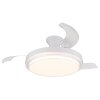 Globo lighting Beliz Ceiling fan light LED white, 1-light source, Remote control