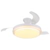 Globo lighting Beliz Ceiling fan light LED white, 1-light source, Remote control