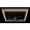 Globo lighting Celinata Ceiling fan light LED black, 1-light source, Remote control