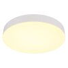 Globo lighting Matthew ceiling light LED white, 1-light source