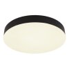 Globo lighting Matthew ceiling light LED black, white, 1-light source