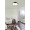 Globo lighting Matthew ceiling light LED black, white, 1-light source