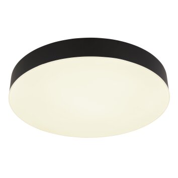 Globo lighting Matthew ceiling light LED black, white, 1-light source