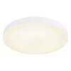 Globo lighting Matthew ceiling light LED white, 1-light source