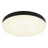 Globo lighting Matthew ceiling light LED black, white, 1-light source