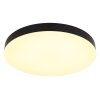 Globo lighting Matthew ceiling light LED black, white, 1-light source