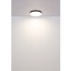 Globo lighting Matthew ceiling light LED white, 1-light source