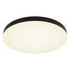 Globo lighting Matthew ceiling light LED black, white, 1-light source