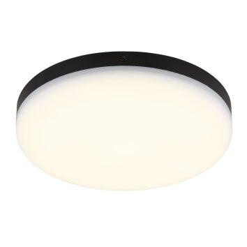 Globo lighting Matthew ceiling light LED black, 1-light source