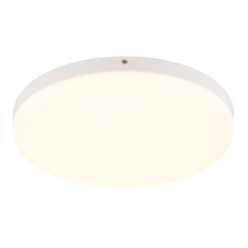 Globo lighting Matthew ceiling light LED white, 1-light source