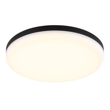 Globo lighting Matthew ceiling light LED black, 1-light source