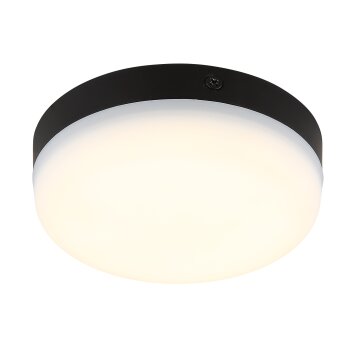 Globo lighting Matthew ceiling light LED black, 1-light source