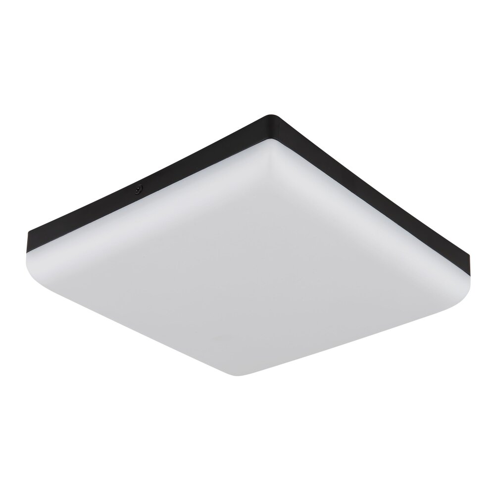 Globo lighting Matthew ceiling light LED black, 1-light source