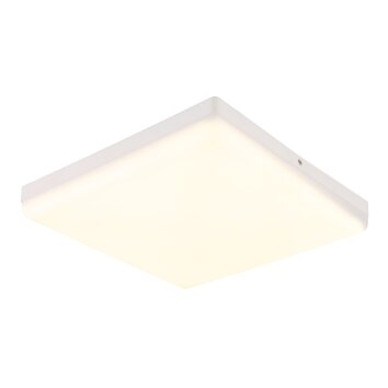 Globo lighting Matthew ceiling light LED white, 1-light source