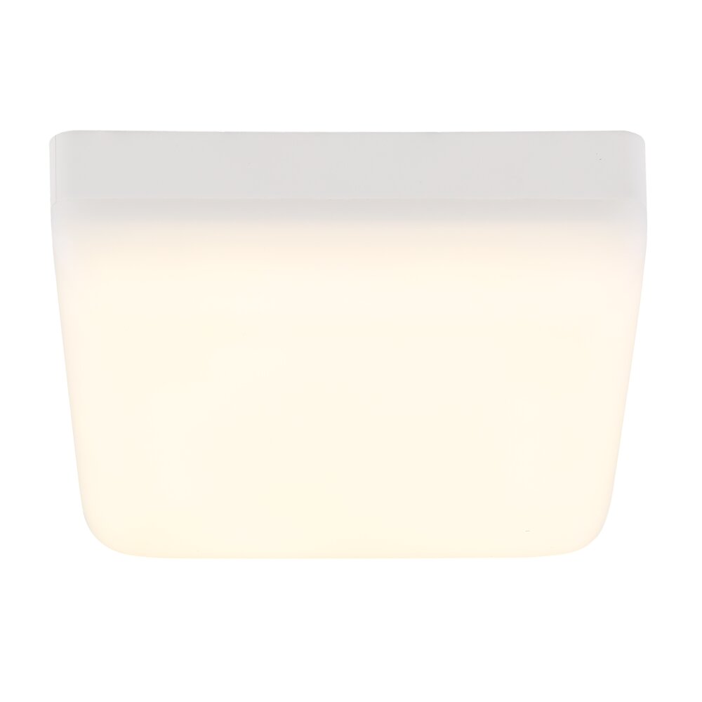 Globo lighting Matthew ceiling light LED white, 1-light source