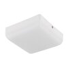 Globo lighting Matthew ceiling light LED white, 1-light source