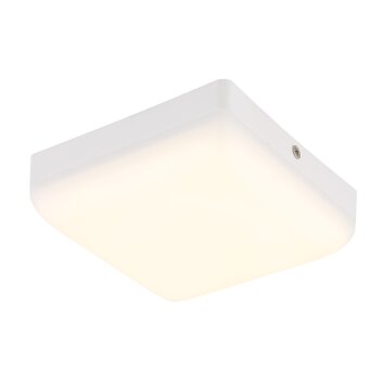 Globo lighting Matthew ceiling light LED white, 1-light source