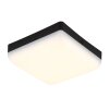 Globo lighting Matthew ceiling light LED black, 1-light source