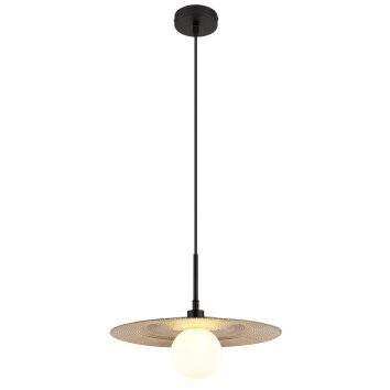 Globo lighting Riga hanging light black, 1-light source