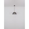 Globo lighting Baku hanging light black, 1-light source