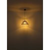 Globo lighting Baku hanging light black, 1-light source