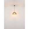 Globo lighting Baku hanging light black, 1-light source