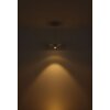 Globo lighting Carter hanging light LED white, 1-light source