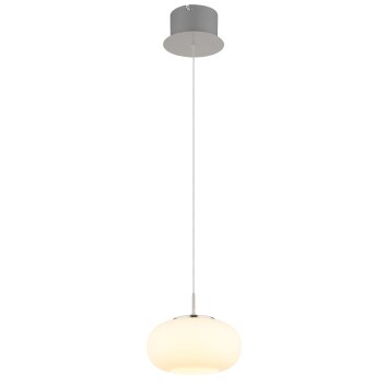 Globo lighting Quintara hanging light LED matt nickel, 1-light source