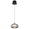 Globo lighting Quintara hanging light LED black, 1-light source