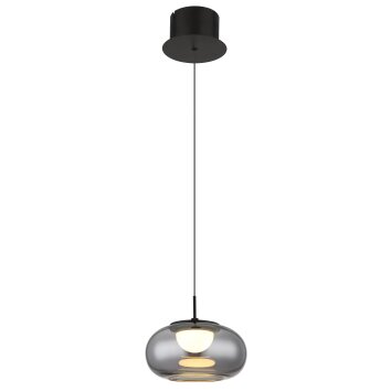 Globo lighting Quintara hanging light LED black, 1-light source