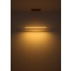 Globo lighting Muriella hanging light LED clear, 1-light source