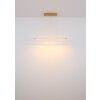 Globo lighting Muriella hanging light LED clear, 1-light source