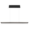 Globo lighting Muriella hanging light LED black, 1-light source