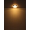 Globo lighting Liami ceiling light LED white, 1-light source