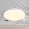 Globo lighting Flarx ceiling light LED white, 1-light source