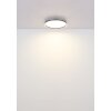 Globo lighting Dublin ceiling light LED grey, 1-light source, Remote control