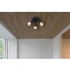 Globo lighting Satella ceiling light, ceiling spotlight, wall light, wall spotlight black, 3-light sources