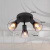 Globo lighting Satella ceiling light, ceiling spotlight, wall light, wall spotlight black, 3-light sources